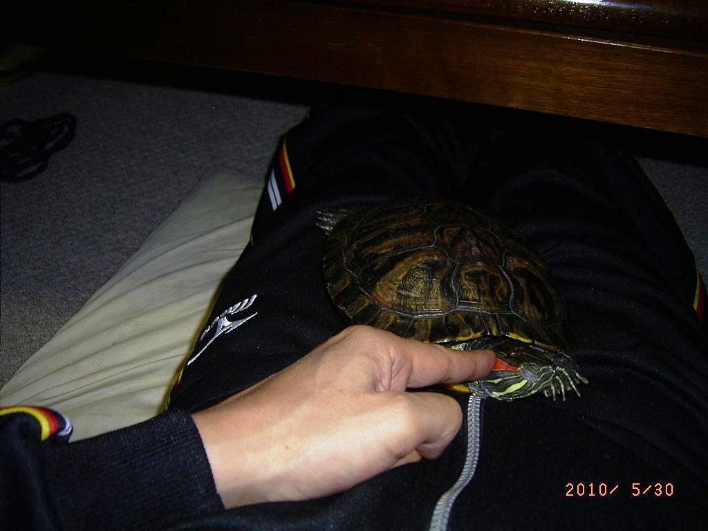 �T�o�J�����`�ʐ^�ҁi�~�h���K���̎ʐ^�j�`�Ȃ�j�v���g�o