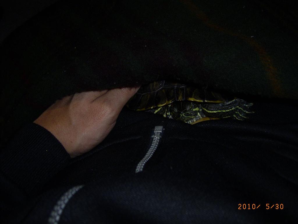 �T�o�J�����`�ʐ^�ҁi�~�h���K���̎ʐ^�j�`�Ȃ�j�v���g�o