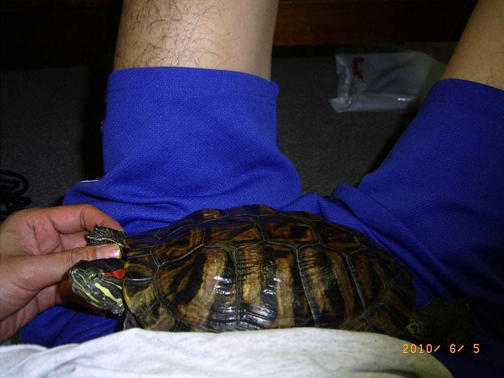 �T�o�J�����`�ʐ^�ҁi�~�h���K���̎ʐ^�j�`�Ȃ�j�v���g�o