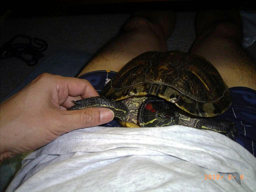 �T�o�J�����`�ʐ^�ҁi�~�h���K���̎ʐ^�j�`�Ȃ�j�v���g�o