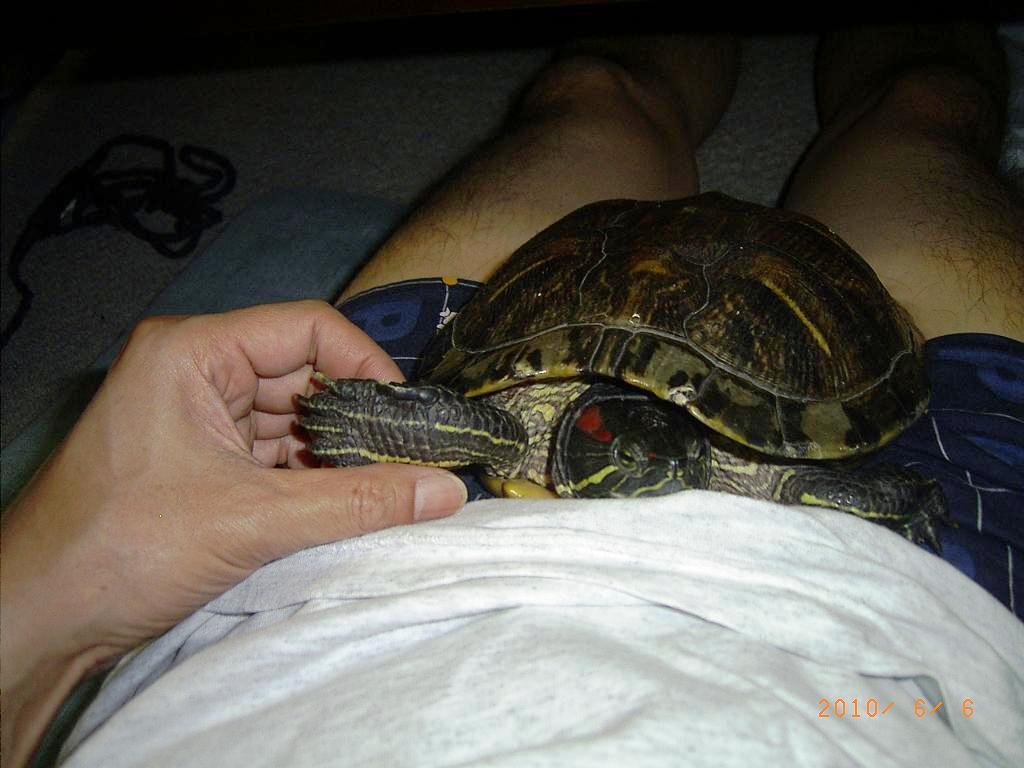 �T�o�J�����`�ʐ^�ҁi�~�h���K���̎ʐ^�j�`�Ȃ�j�v���g�o