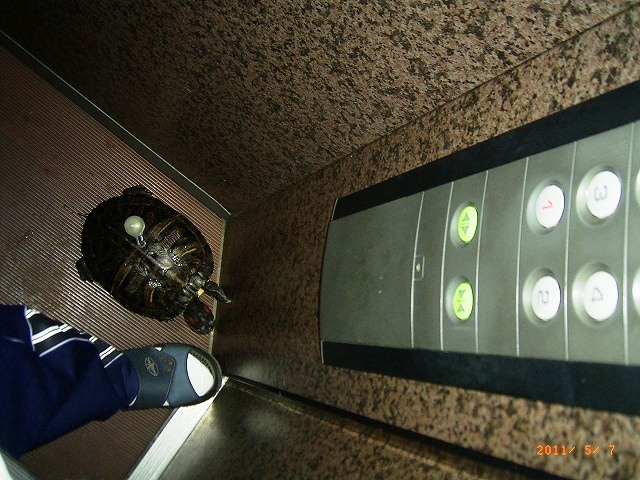 �T�o�J�����`�ʐ^�ҁi�~�h���K���̎ʐ^�j�`�Ȃ�j�v���g�o