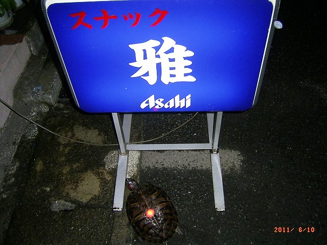 �T�o�J�����`�ʐ^�ҁi�~�h���K���̎ʐ^�j�`�Ȃ�j�v���g�o