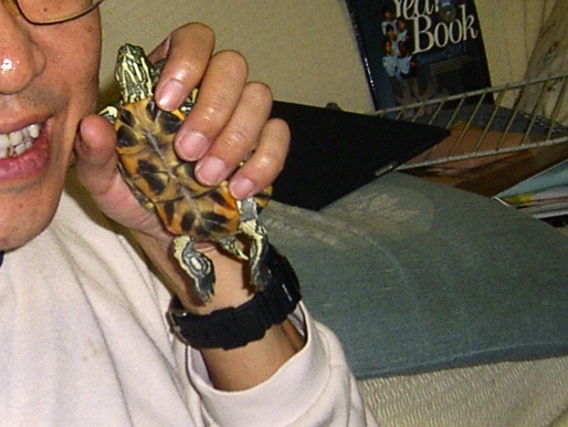 �T�o�J�����`�ʐ^�ҁi�~�h���K���̎ʐ^�j�`�Ȃ�j�v���g�o