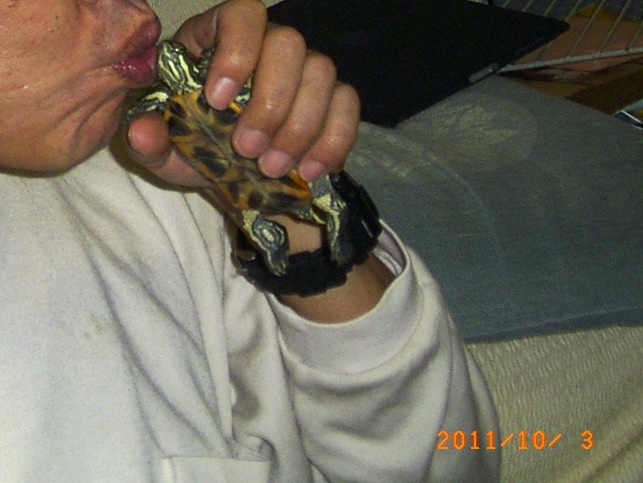 �T�o�J�����`�ʐ^�ҁi�~�h���K���̎ʐ^�j�`�Ȃ�j�v���g�o