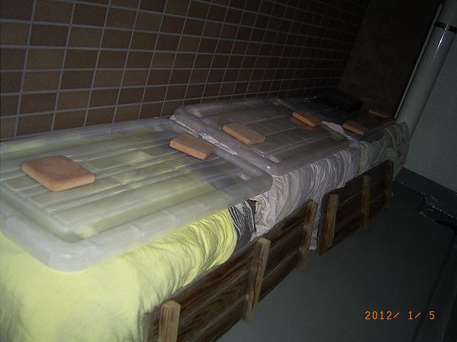 �T�o�J�����`�ʐ^�ҁi�~�h���K���̎ʐ^�j�`�Ȃ�j�v���g�o