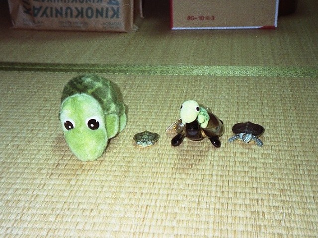 �T�o�J�����`�ʐ^�ҁi�~�h���K���̎ʐ^�j�`�Ȃ�j�v���g�o