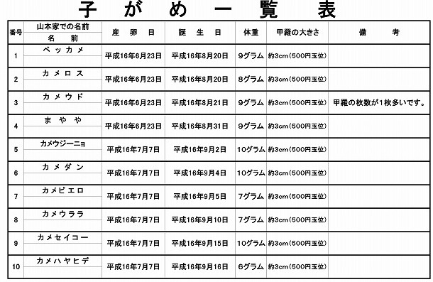 �T�o�J�����`�ʐ^�ҁi�~�h���K���̎ʐ^�j�`�Ȃ�j�v���g�o