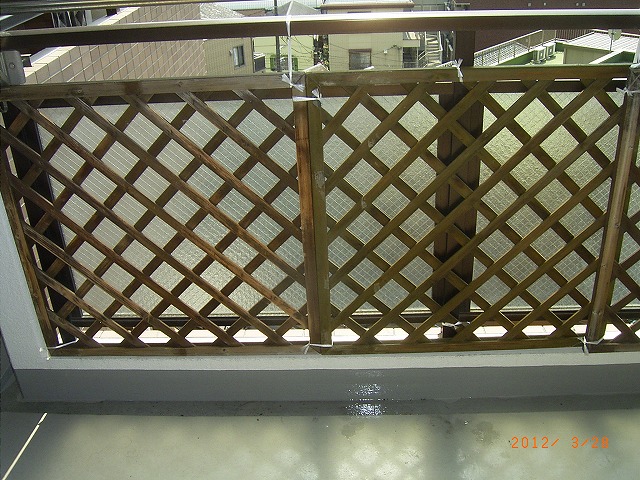 �T�o�J�����`�ʐ^�ҁi�~�h���K���̎ʐ^�j�`�Ȃ�j�v���g�o