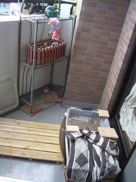 �T�o�J�����`�ʐ^�ҁi�~�h���K���̎ʐ^�j�`�Ȃ�j�v���g�o