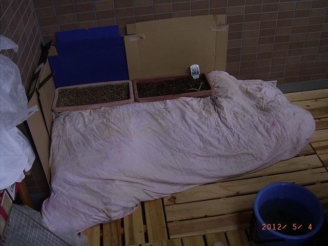 �T�o�J�����`�ʐ^�ҁi�~�h���K���̎ʐ^�j�`�Ȃ�j�v���g�o