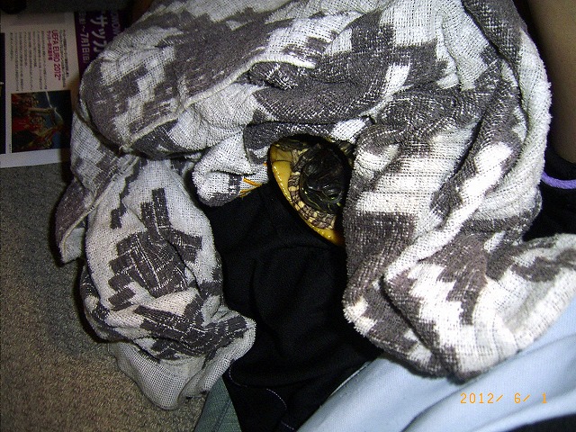 �T�o�J�����`�ʐ^�ҁi�~�h���K���̎ʐ^�j�`�Ȃ�j�v���g�o