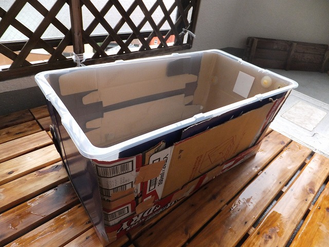 �T�o�J�����`�ʐ^�ҁi�~�h���K���̎ʐ^�j�`�Ȃ�j�v���g�o