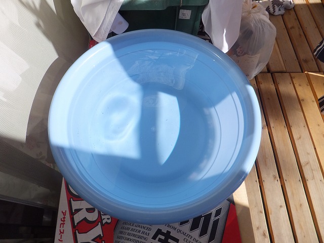 �T�o�J�����`�ʐ^�ҁi�~�h���K���̎ʐ^�j�`�Ȃ�j�v���g�o