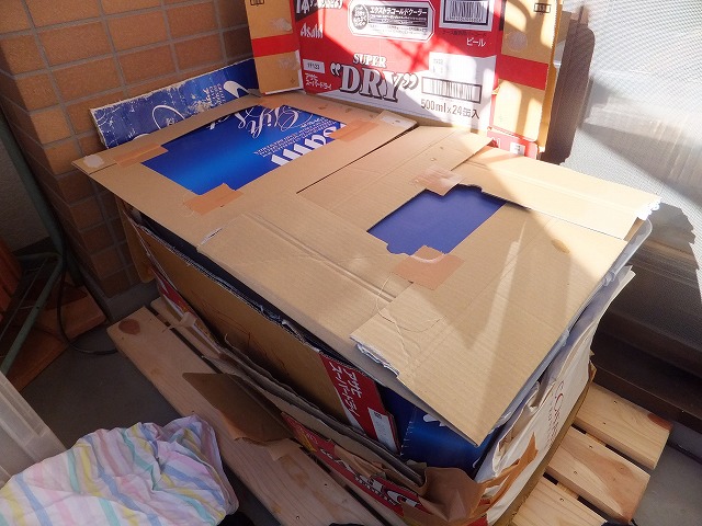 �T�o�J�����`�ʐ^�ҁi�~�h���K���̎ʐ^�j�`�Ȃ�j�v���g�o