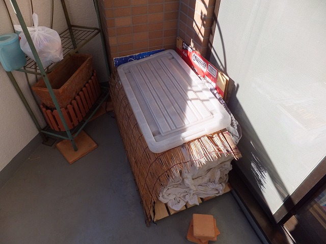 �T�o�J�����`�ʐ^�ҁi�~�h���K���̎ʐ^�j�`�Ȃ�j�v���g�o