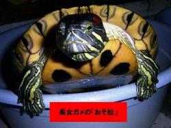 �N���b�N����Ƒ傫���摜�����邱�Ƃ��ł��܂��B